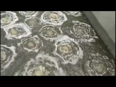 Aeration fine bubble diffuser used in wastewater treatment